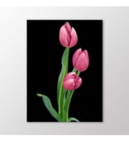 Arty Tablo Pembe Laleler Tablo (Karışık)