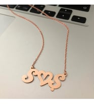 Kişiye Özel Harfli Ve Kalpli Gümüş Kolye Özel Gün Hediyesi (Rose)