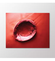 Arty Tablo İstiridye Kabuğu Tablo (Karışık)
