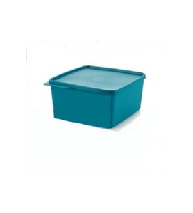 Tupperware Renkli Dikdörtgen 2,5 L Saklama Kabı (2 Adet )