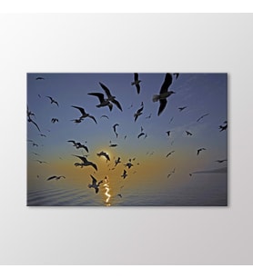 Arty Tablo Martılar Tablo (Karışık)
