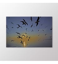 Arty Tablo Martılar Tablo (Karışık)