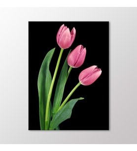 Arty Tablo Pembe Laleler Tablo (Karışık)
