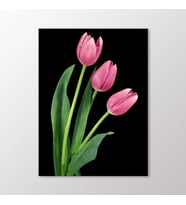 Arty Tablo Pembe Laleler Tablo (Karışık)