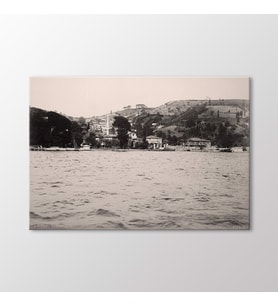 Arty Tablo Bebek, 1890 Tablo (Karışık)