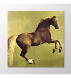 Arty Tablo Whistlejacket Tablo (Karışık)