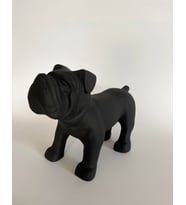 Bulldog (Siyah)