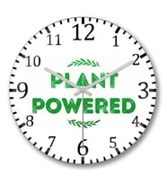 Plant Powered Duvar Saati Bombeli Gercek Cam