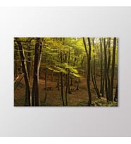 Arty Tablo Ağaçlar Tablo (Karışık)