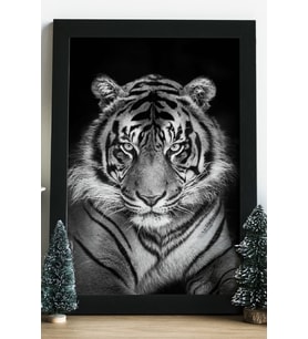 Kaplan Tiger Ahşap 24x33 cm Tasarım Çerçeve