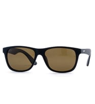 Toms Teddy Polarize/UV Güneş Gözlüğü Kahverengi TT6003-2C202M