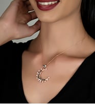 Gümüş Zirkon Taşlı Ay Hilal Tasarım Kolye (Rose)