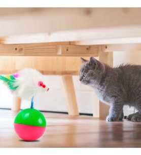 Kedi Hacı Yatmaz Peluş Fare Oyuncağı Fareli Oyun Topu Oyuncak (Karışık)
