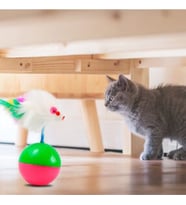 Kedi Hacı Yatmaz Peluş Fare Oyuncağı Fareli Oyun Topu Oyuncak (Karışık)
