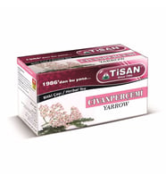 Civanperçemi Çayı 20'li