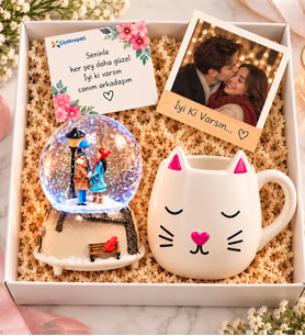 El Yapımı Kedi Kupa & Romantik Aşıklar Sokak Lambası Kar Küresi Sevgiliye Hediye