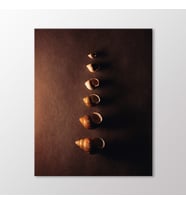 Arty Tablo Deniz Kabukluları Tablo (Karışık)