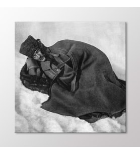 Arty Tablo Karlar Üstünde Atatürk Tablo (Karışık)