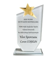 Kristal cam plaket