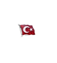925 Ayar Gümüş Kırmızı Mineli Türk Bayrağı Rozet