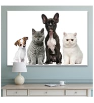 Sevimli Patiler Kedi Köpek Hayvanlar Alemi Kanvas Tablo