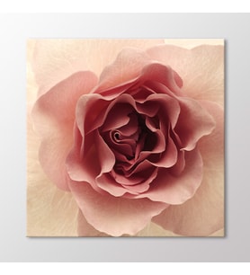Arty Tablo Pembe Gül Tablo (Karışık)