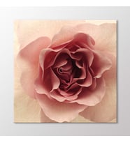 Arty Tablo Pembe Gül Tablo (Karışık)