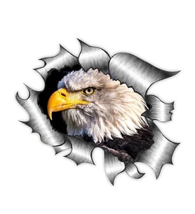 Yırtık Metal tasarım kkel kartal Araba Oto Sticker