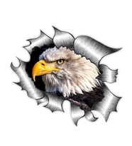 Yırtık Metal tasarım kkel kartal Araba Oto Sticker