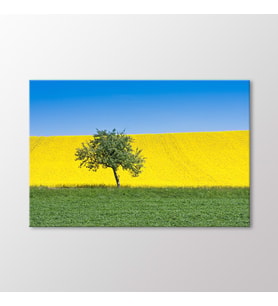 Arty Tablo Tarladaki Ağaç Tablo (Karışık)