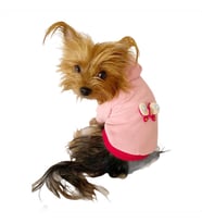 Pembe Kelebek Kapşonlu Sweat by Kemique Köpek Kazağı 