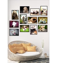 Rainbow Sevimli Kedi Köpek 12 Parça Çerçeve Görünümlü Mdf Tablo Seti - Ayı, Kaplan TB-036