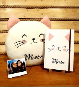 Kişiye Özel Sevimli Kedi Polar Yastık Ve Kedi Defter Arkadaşa Hediye