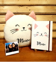 Kişiye Özel Sevimli Kedi Polar Yastık Ve Kedi Defter Arkadaşa Hediye