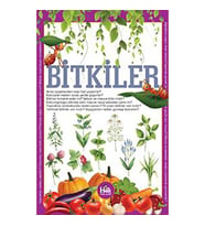 Bitkiler