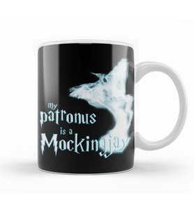 Harry Potter When Harry Met Katniss Kupa Bardak Porselen