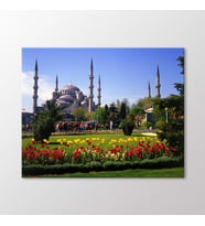 Arty Tablo Sultanahmet Camii Tablo (Karışık)