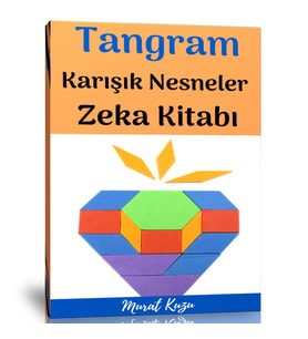 Tangram Karışık Nesneler Zeka Kitabı