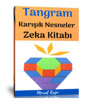 Tangram Karışık Nesneler Zeka Kitabı