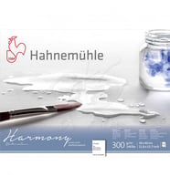 Hahnemühle Harmony Sulu Boya Blok 300g 12 Yp Rough Grain 30x40