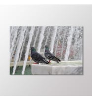 Arty Tablo Güvercinler Tablo (Karışık)
