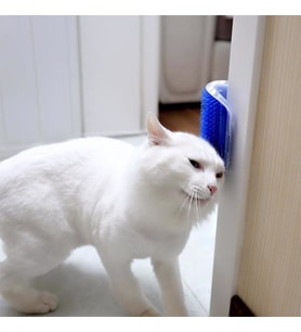 Kedi Kaşınma Pratik Kedi Tüyü Kaşıma Ve Tarama Aparatı Duvara Monte Kaşıma Aleti (Karışık)