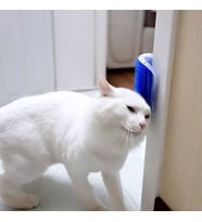 Kedi Kaşınma Pratik Kedi Tüyü Kaşıma Ve Tarama Aparatı Duvara Monte Kaşıma Aleti (Karışık)