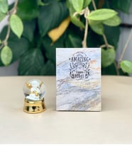 Kişiye Özel 6 Fotoğraflı Amazing Tasarımlı Mini Albüm Ve Altınyaldzlı Mini Kar Küresi Set