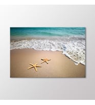 Arty Tablo Deniz Yıldızları Tablo (Karışık)