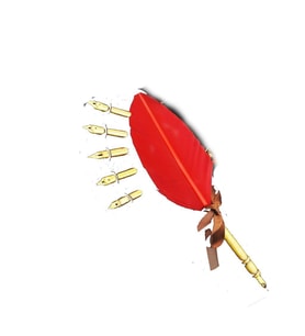 Orijinal Steel Pen Kuş Tüyü Divit Kalemi Seti (Kırmızı)