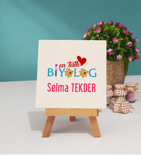 En Tatlı Biyolog Hediye Dekoratif Taş Baskı