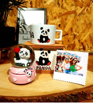 Kişiye Özel Sevimli Panda Kar Küresi Ve Panda Kutulu Kupa Arkadaşa Hediye