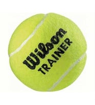 Wilson Trainer Tenis Topu Tekli WRT131100 (1 adet)