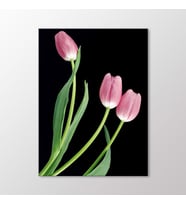 Arty Tablo Pembe Laleler Tablo (Karışık)